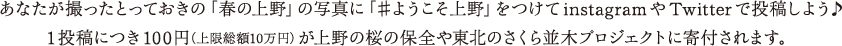 あなたが撮ったとっておきの「春の上野」の写真に「♯ようこそ上野」をつけてinstagramやTwitterで投稿しよう♪1投稿につき100円（上限総額10万円）が上野の桜の保全や東北のさくら並木プロジェクトに寄付されます。