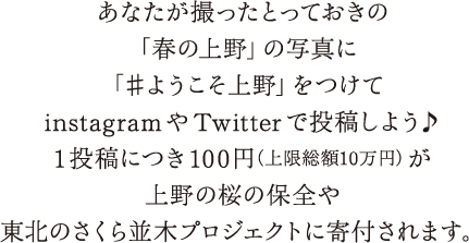 あなたが撮ったとっておきの「春の上野」の写真に「♯ようこそ上野」をつけてinstagramやTwitterで投稿しよう♪1投稿につき100円（上限総額10万円）が上野の桜の保全や東北のさくら並木プロジェクトに寄付されます。