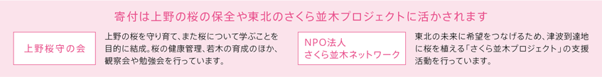 寄付は上野の桜の保全や東北のさくら並木プロジェクトに活かされます 上野桜守の会 上野の桜を守り育て、また桜について学ぶことを目的に結成。桜の健康管理、若木の育成のほか、観察会や勉強会を行っています。 NPO法人
さくら並木ネットワーク 東北の未来に希望をつなげるため、津波到達地に桜を植える「さくら並木プロジェクト」の支援活動を行っています。 