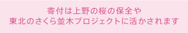 寄付は上野の桜の保全や東北のさくら並木プロジェクトに活かされます 上野桜守の会 上野の桜を守り育て、また桜について学ぶことを目的に結成。桜の健康管理、若木の育成のほか、観察会や勉強会を行っています。 NPO法人
さくら並木ネットワーク 東北の未来に希望をつなげるため、津波到達地に桜を植える「さくら並木プロジェクト」の支援活動を行っています。 