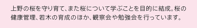 寄付は上野の桜の保全や東北のさくら並木プロジェクトに活かされます 上野桜守の会 上野の桜を守り育て、また桜について学ぶことを目的に結成。桜の健康管理、若木の育成のほか、観察会や勉強会を行っています。 NPO法人
さくら並木ネットワーク 東北の未来に希望をつなげるため、津波到達地に桜を植える「さくら並木プロジェクト」の支援活動を行っています。 