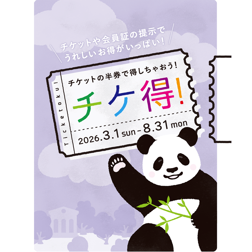 チケ得！2026.3.1 〜 2026.8.31