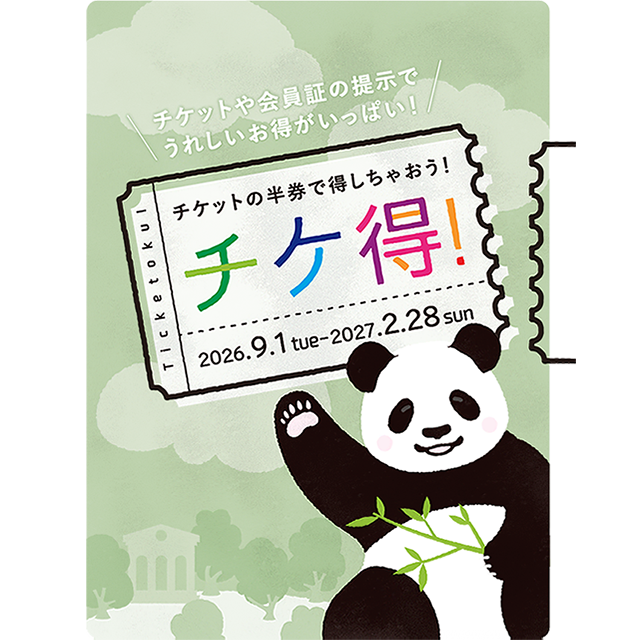チケ得！2026.9.1 tue 〜 2027.2.28 sun